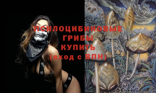 крисы Надым