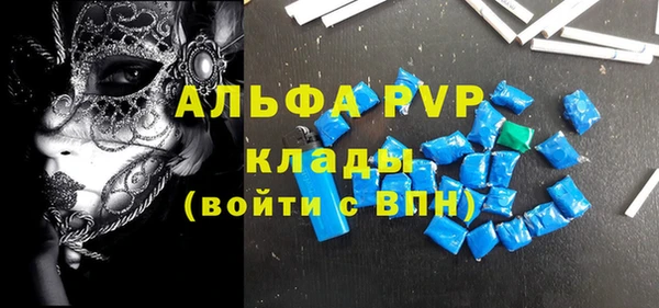 крисы Надым