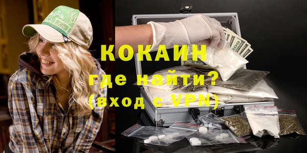 крисы Надым