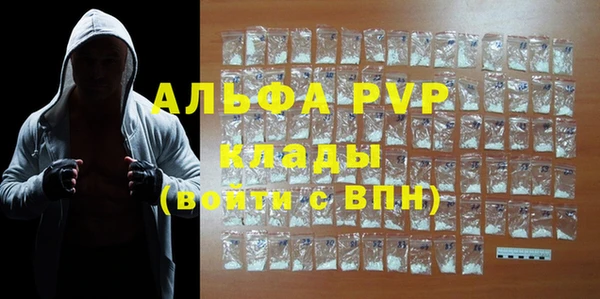 крисы Надым