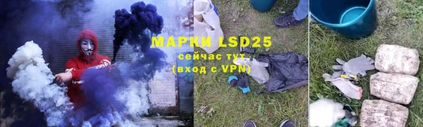 крисы Надым