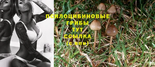 крисы Надым