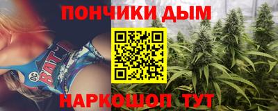 спайс Гагарин
