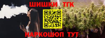 спайс Гагарин