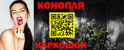 мяу мяу мука Гатчина