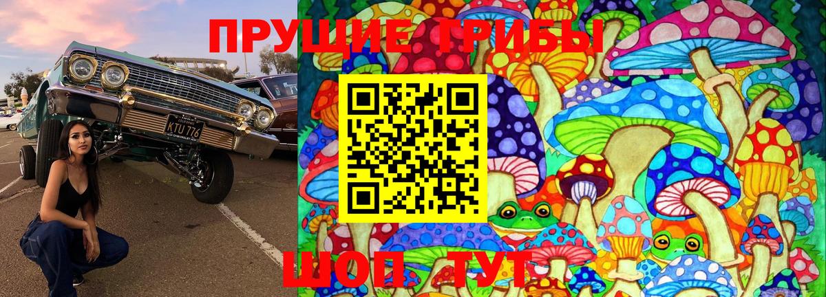 Ишим  Псилоцибиновые грибы MAGIC MUSHROOMS  Галлюциногенные грибы Cubensis  Вход с VPN 
