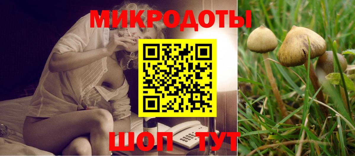 Псилоцибиновые грибы прущие грибы Ишим